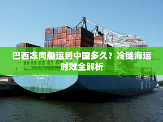 巴西冻肉船运到中国多久？冷链海运时效全解析