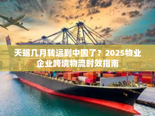 天蝎几月转运到中国了？2025物业企业跨境物流时效指南