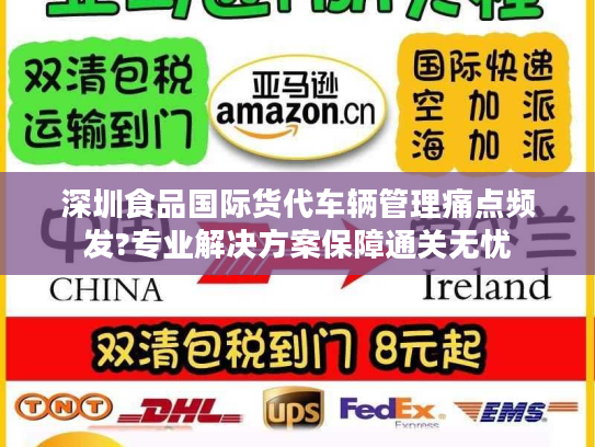 深圳食品国际货代车辆管理痛点频发?专业解决方案保障通关无忧