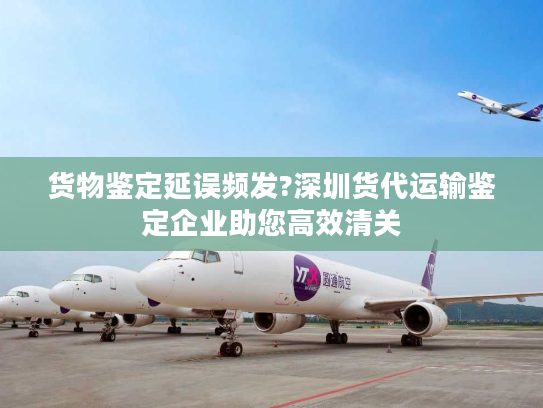货物鉴定延误频发?深圳货代运输鉴定企业助您高效清关 货物鉴定延误频发?深圳货代运输鉴定企业助您高效清关