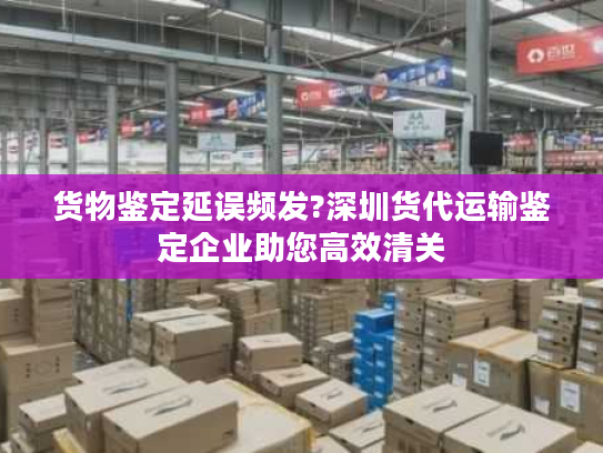 货物鉴定延误频发?深圳货代运输鉴定企业助您高效清关 货物鉴定延误频发?深圳货代运输鉴定企业助您高效清关