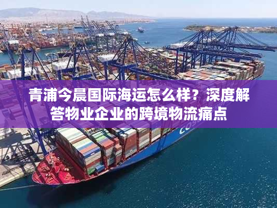 青浦今晨国际海运怎么样？深度解答物业企业的跨境物流痛点