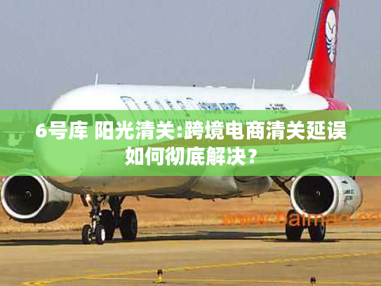 6号库 阳光清关:跨境电商清关延误如何彻底解决？