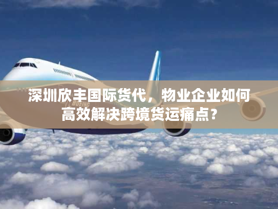 深圳欣丰国际货代,物业企业如何高效解决跨境货运痛点? 深圳欣丰国际货代,物业企业如何高效解决跨境货运痛点?