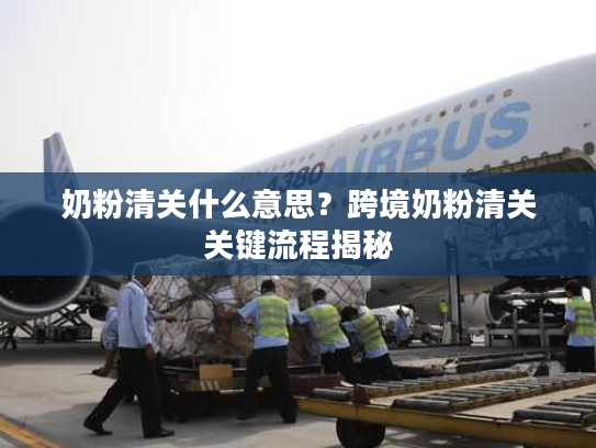 奶粉清关什么意思？跨境奶粉清关关键流程揭秘