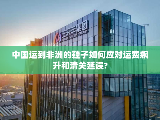 中国运到非洲的鞋子如何应对运费飙升和清关延误? 中国运到非洲的鞋子如何应对运费飙升和清关延误?