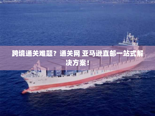 跨境通关难题？通关网 亚马逊直邮一站式解决方案！