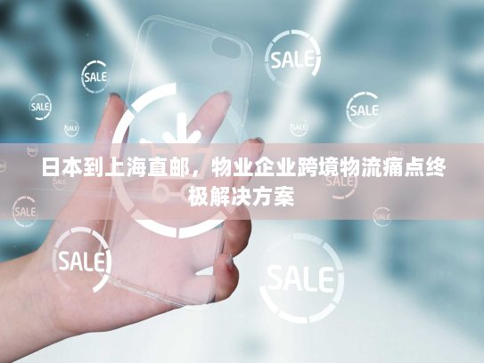 日本到上海直邮，物业企业跨境物流痛点终极解决方案
