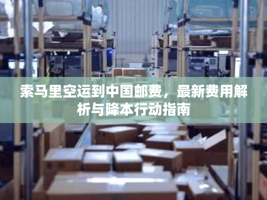 索马里空运到中国邮费，最新费用解析与降本行动指南