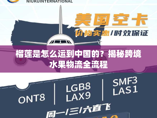榴莲是怎么运到中国的？揭秘跨境水果物流全流程