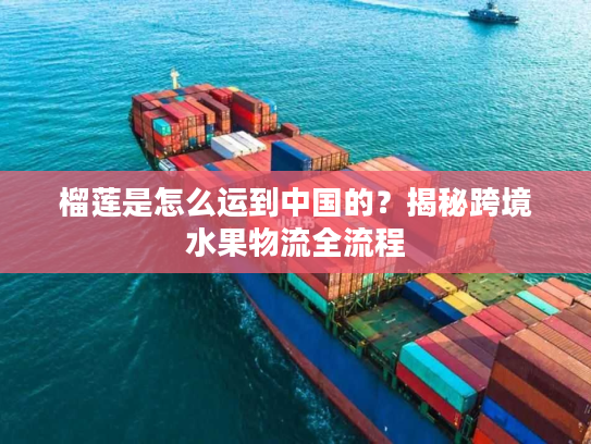 榴莲是怎么运到中国的？揭秘跨境水果物流全流程