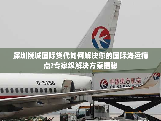 深圳锐城国际货代如何解决您的国际海运痛点?专家级解决方案揭秘