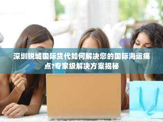 深圳锐城国际货代如何解决您的国际海运痛点?专家级解决方案揭秘