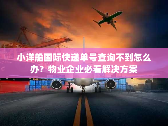 小洋船国际快递单号查询不到怎么办？物业企业必看解决方案