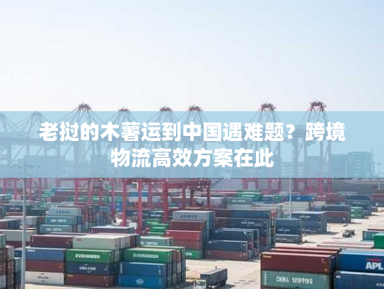 老挝的木薯运到中国遇难题？跨境物流高效方案在此