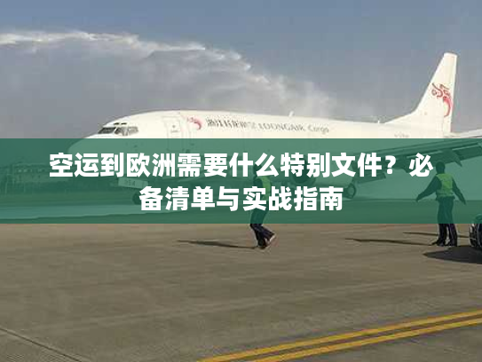 空运到欧洲需要什么特别文件？必备清单与实战指南