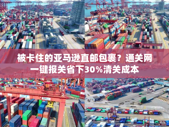 被卡住的亚马逊直邮包裹？通关网一键报关省下30%清关成本