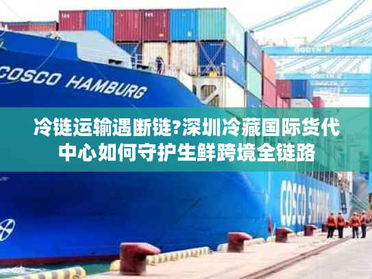 冷链运输遇断链?深圳冷藏国际货代中心如何守护生鲜跨境全链路