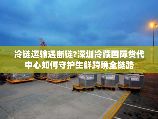 冷链运输遇断链?深圳冷藏国际货代中心如何守护生鲜跨境全链路