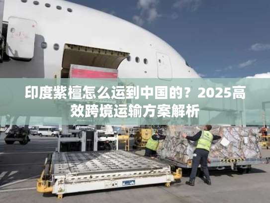 印度紫檀怎么运到中国的？2025高效跨境运输方案解析