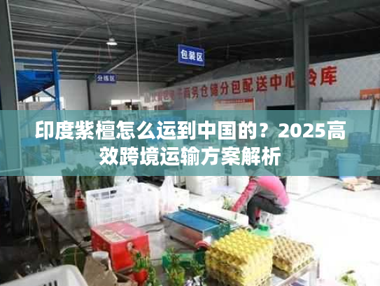 印度紫檀怎么运到中国的？2025高效跨境运输方案解析