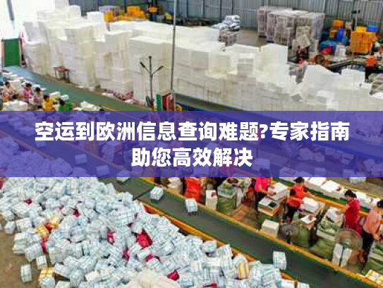 空运到欧洲信息查询难题?专家指南助您高效解决