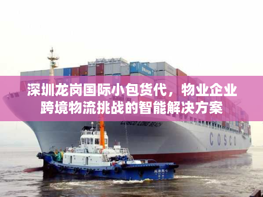 深圳龙岗国际小包货代，物业企业跨境物流挑战的智能解决方案