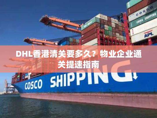 DHL香港清关要多久？物业企业通关提速指南