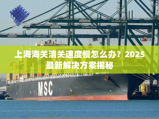 上海海关清关速度慢怎么办？2025最新解决方案揭秘