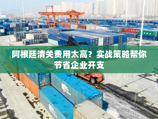 阿根廷清关费用太高?实战策略帮你节省企业开支 阿根廷清关费用太高?实战策略帮你节省企业开支