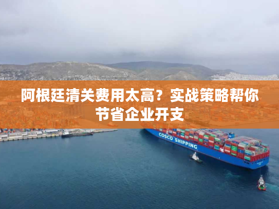 阿根廷清关费用太高？实战策略帮你节省企业开支