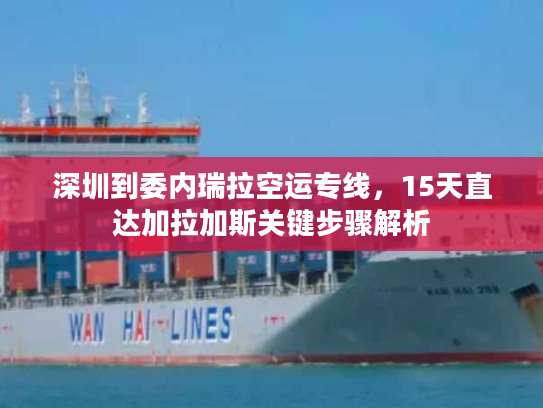 深圳到委内瑞拉空运专线，15天直达加拉加斯关键步骤解析