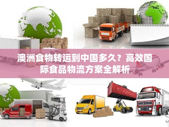 澳洲食物转运到中国多久？高效国际食品物流方案全解析