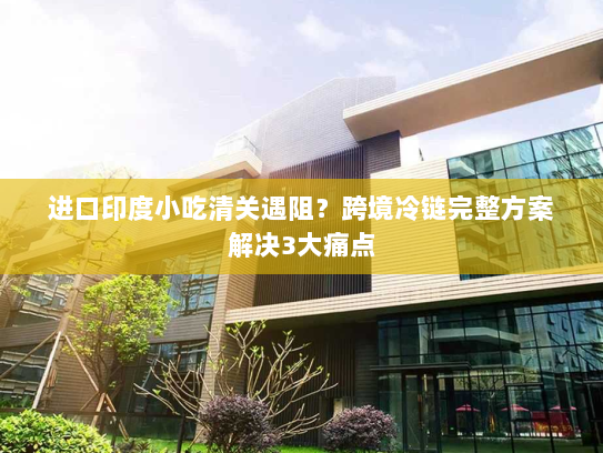 进口印度小吃清关遇阻？跨境冷链完整方案解决3大痛点