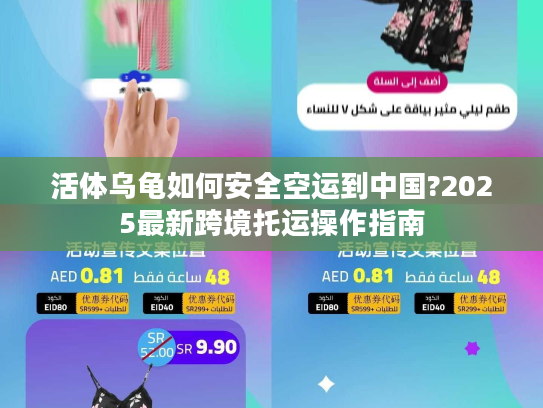 活体乌龟如何安全空运到中国?2025最新跨境托运操作指南