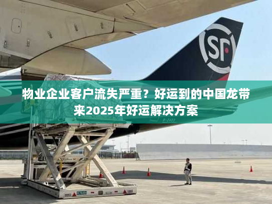 物业企业客户流失严重？好运到的中国龙带来2025年好运解决方案