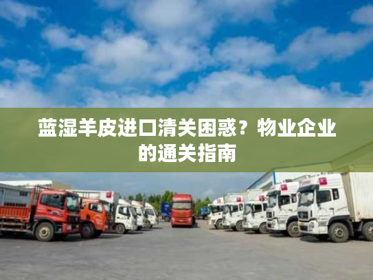 蓝湿羊皮进口清关困惑？物业企业的通关指南