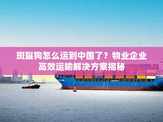 斑鬣狗怎么运到中国了？物业企业高效运输解决方案揭秘