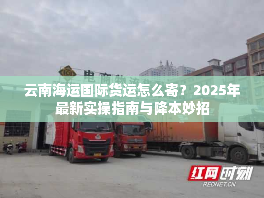 云南海运国际货运怎么寄？2025年最新实操指南与降本妙招