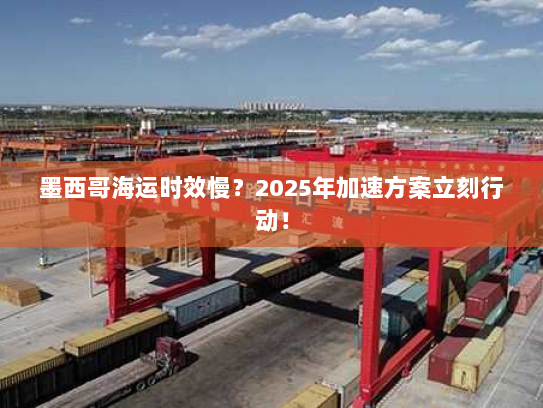墨西哥海运时效慢？2025年加速方案立刻行动！