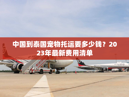 中国到泰国宠物托运要多少钱？2023年最新费用清单