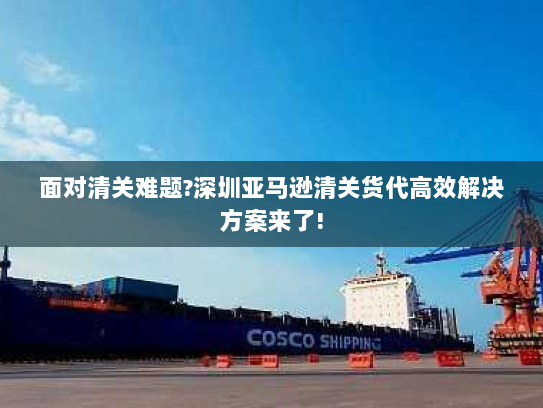 面对清关难题?深圳亚马逊清关货代高效解决方案来了!