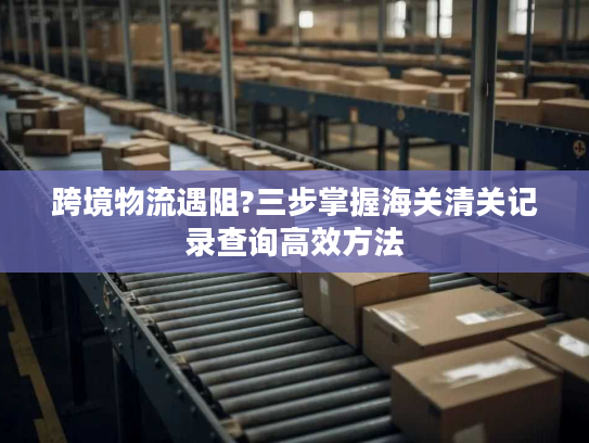 跨境物流遇阻?三步掌握海关清关记录查询高效方法 跨境物流遇阻?三步掌握海关清关记录查询高效方法