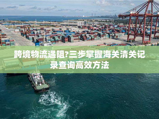 跨境物流遇阻?三步掌握海关清关记录查询高效方法 跨境物流遇阻?三步掌握海关清关记录查询高效方法