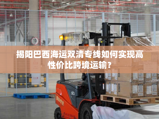 揭阳巴西海运双清专线如何实现高性价比跨境运输？