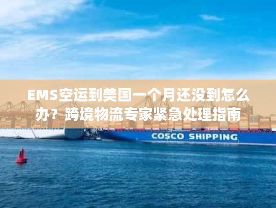 EMS空运到美国一个月还没到怎么办？跨境物流专家紧急处理指南