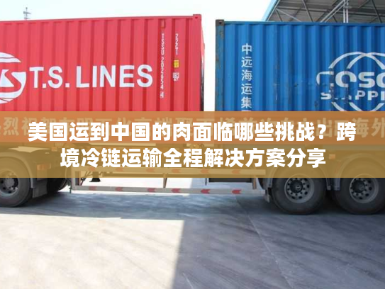 美国运到中国的肉面临哪些挑战？跨境冷链运输全程解决方案分享