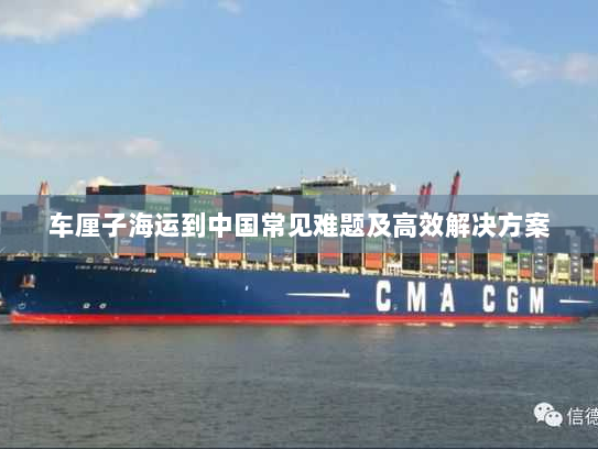 车厘子海运到中国常见难题及高效解决方案