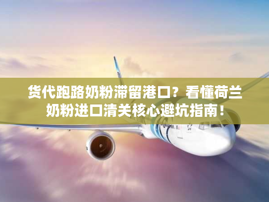 货代跑路奶粉滞留港口？看懂荷兰奶粉进口清关核心避坑指南！