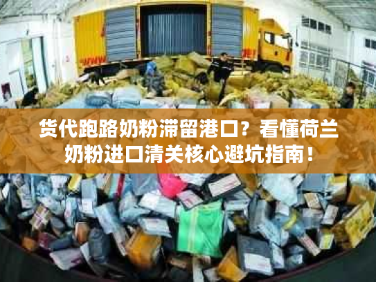 货代跑路奶粉滞留港口？看懂荷兰奶粉进口清关核心避坑指南！